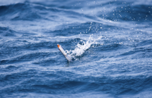 Topwater Techniques and Tactics